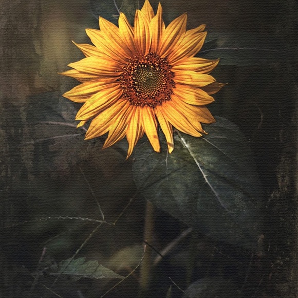 Other - LIKE THIS LISTING TO BE NOTIFIED When I GO LIVE!!🤗🥳😍👍🏼